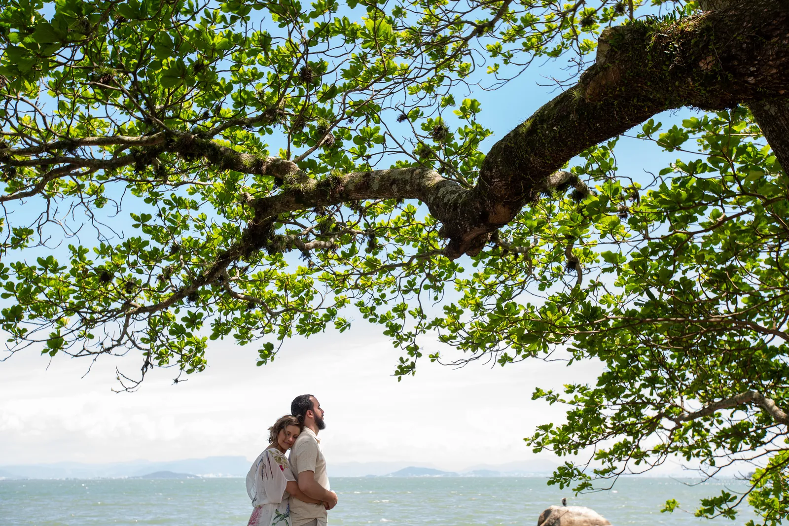 Casal sob uma árvore em frente ao mar
