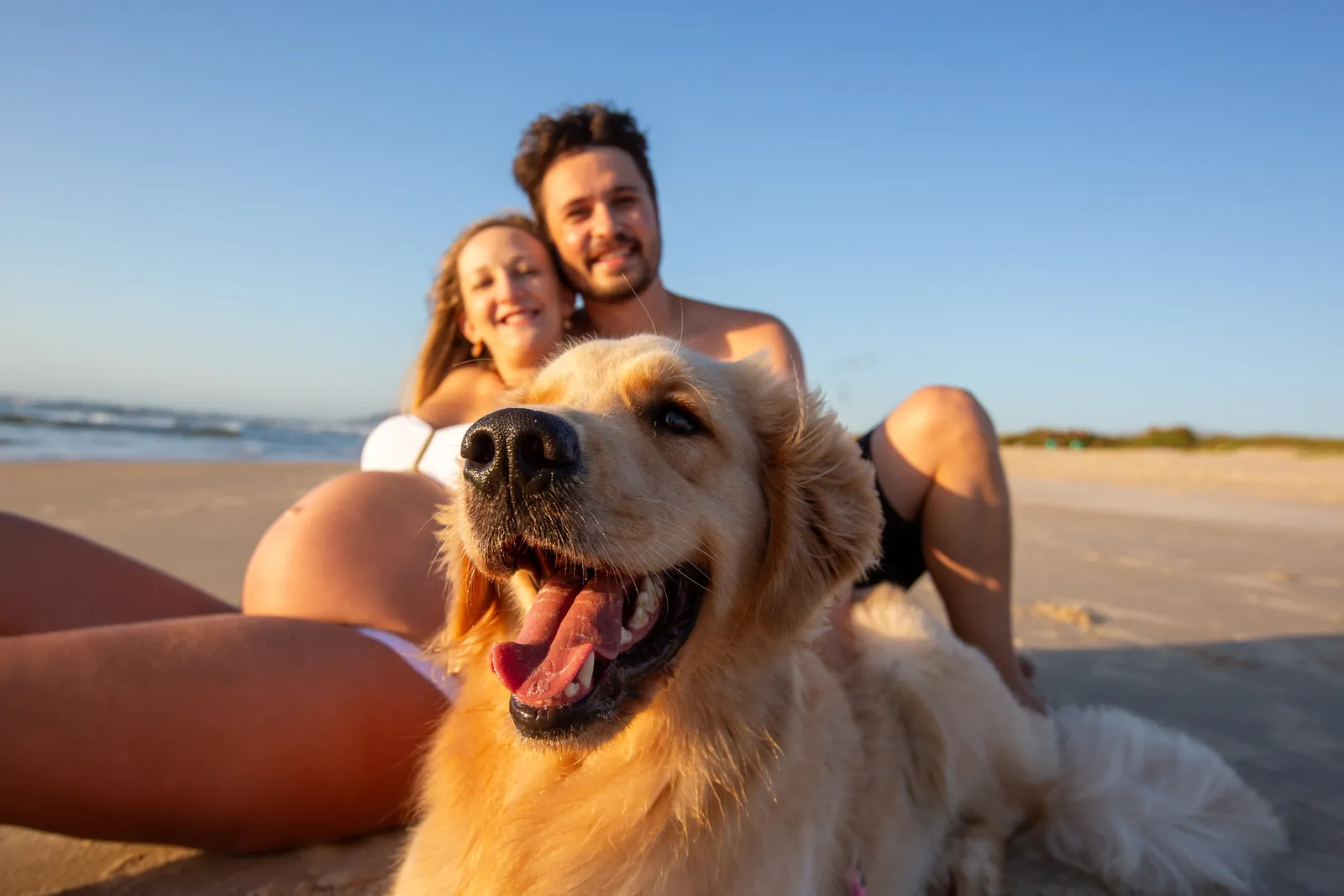 Ensaio de gestante com o casal e o cachorro na praia